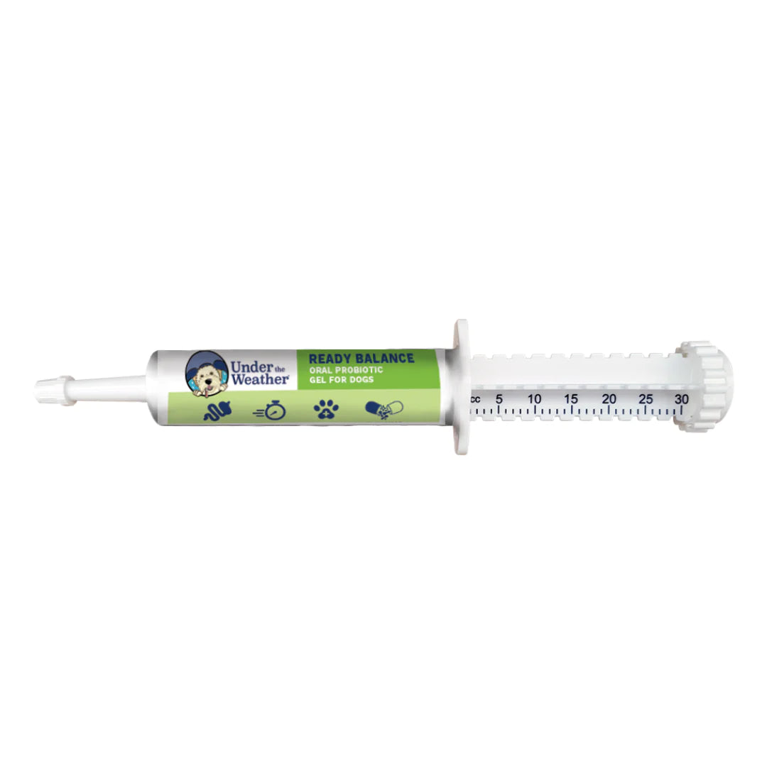 Ready Balance probiotic supplement for Dogs