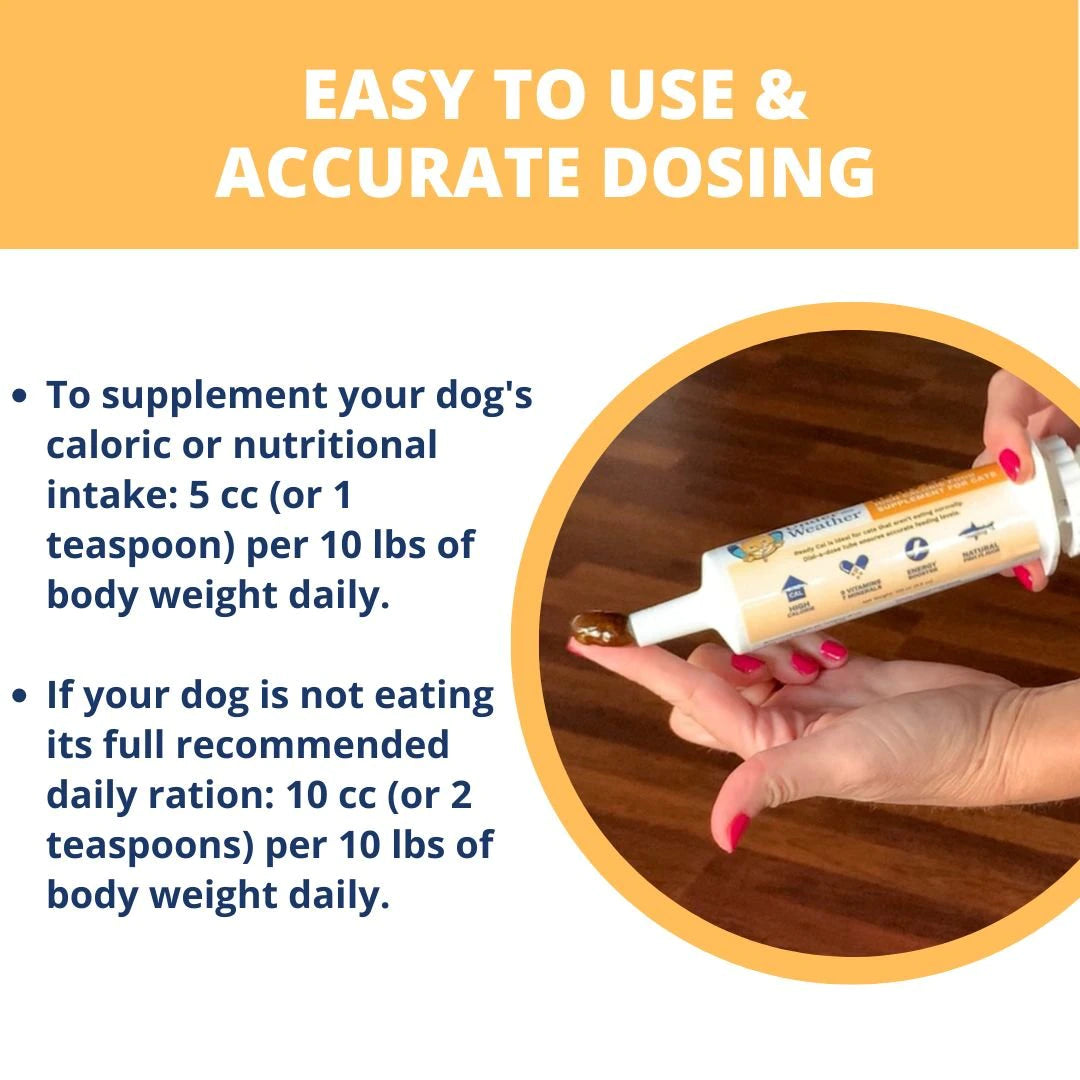 Ready Cal for dogs