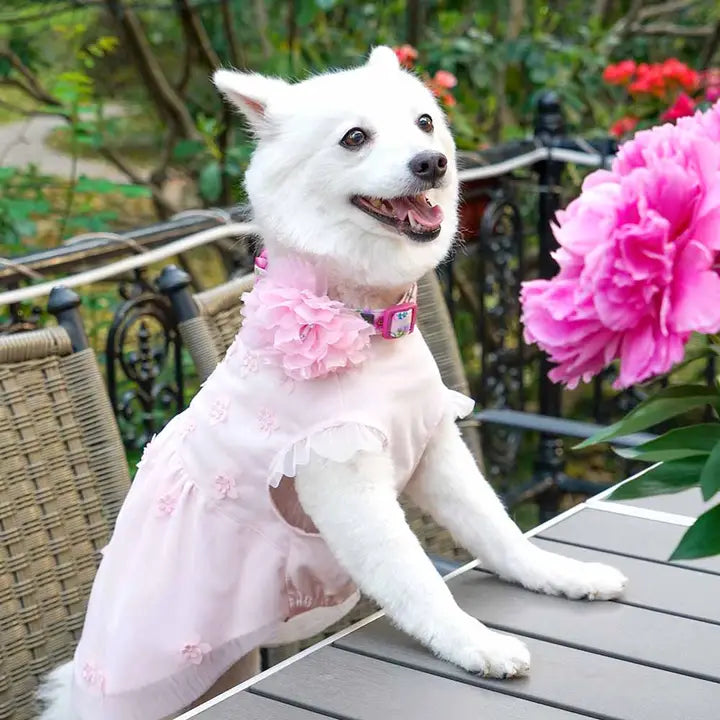 My Princess Dog Dress