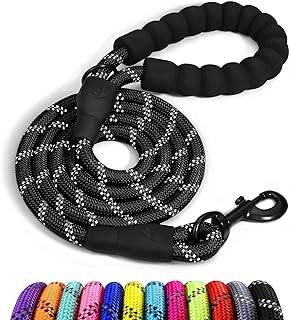 Reflective rope leash
