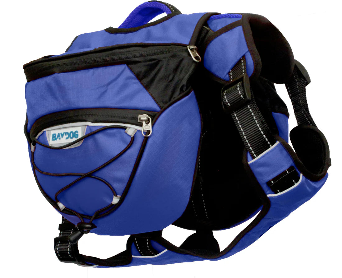 Saranack Backpack