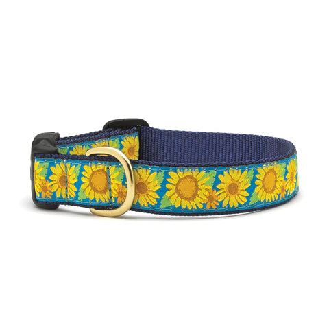 Up Country Collars