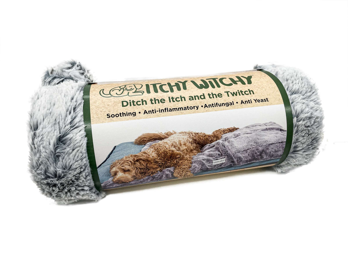 Ditchy Witch Blanket