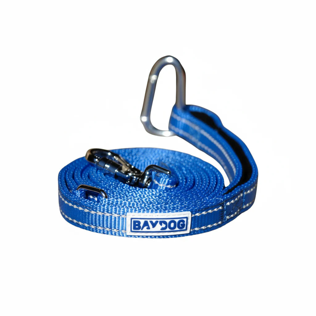 Pensacola Leash