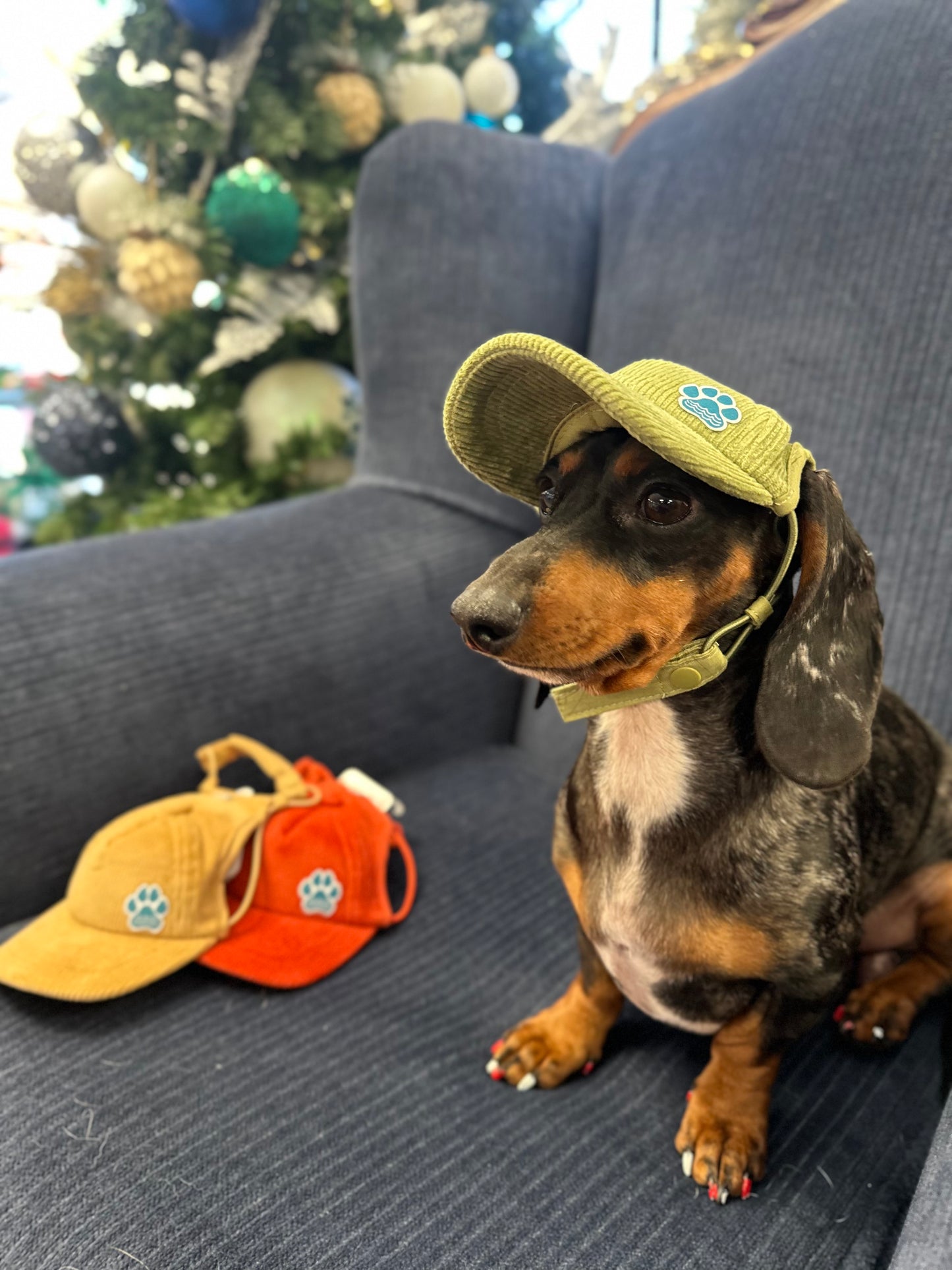 Puplids Corduroy Trucker Hat