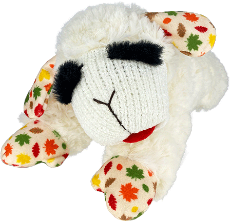 Lamb Chop Autumn