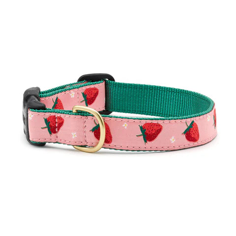 Up Country Collars