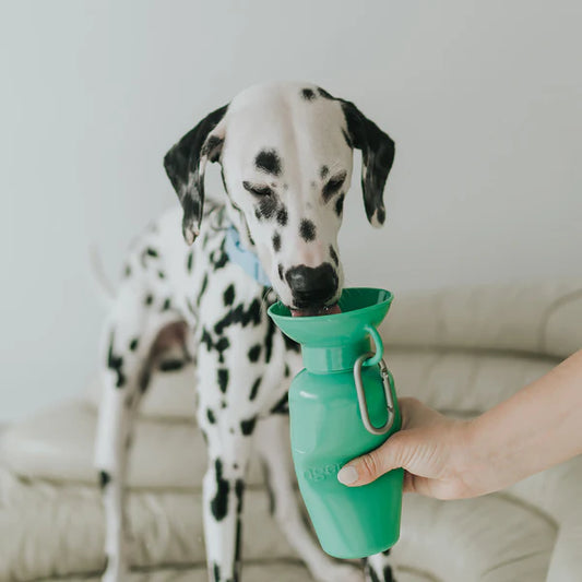 Dog water bottles