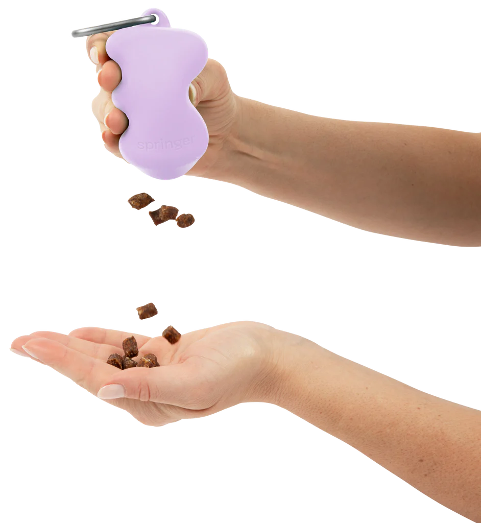 Springer Treat Dispenser-Assorted colors