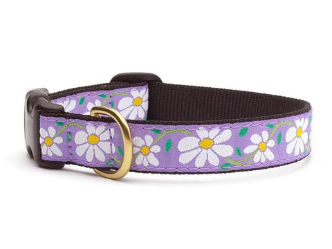 Up Country Collars
