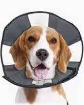 Soft recovery collar