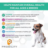 Nootie Progility Mini Multivitamin soft chews