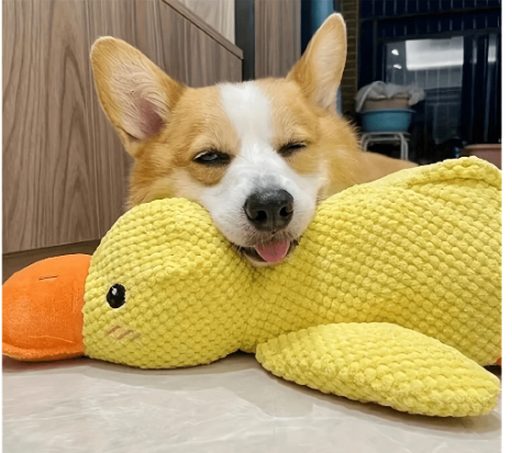 Duck plush