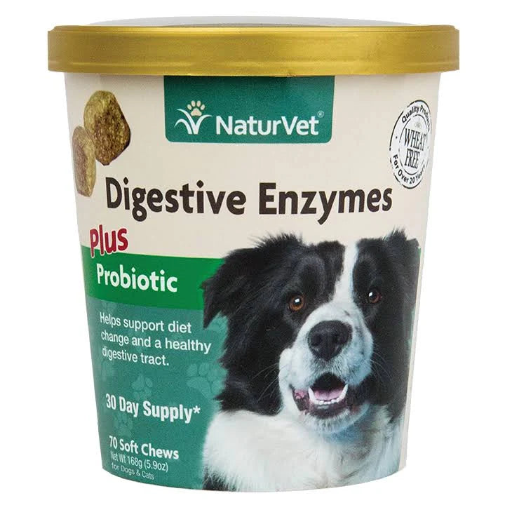 Digestive Enzymes plus Pre & Probiotic