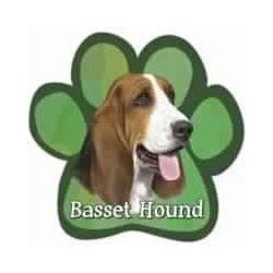 Paw Car Magnets