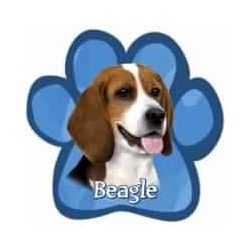 Paw Car Magnets