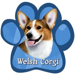 Paw Car Magnets