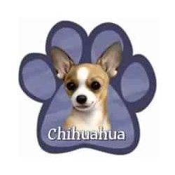 Paw Car Magnets