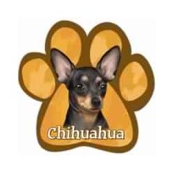 Paw Car Magnets