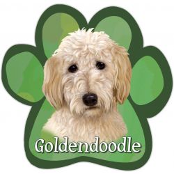 Paw Car Magnets