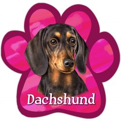Paw Car Magnets