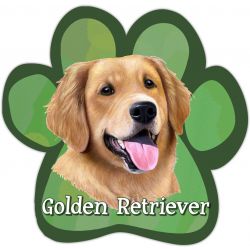 Paw Car Magnets