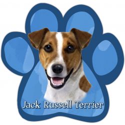 Paw Car Magnets