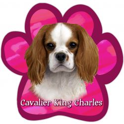 Paw Car Magnets