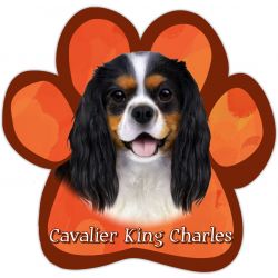 Paw Car Magnets