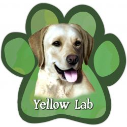 Paw Car Magnets