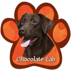 Paw Car Magnets