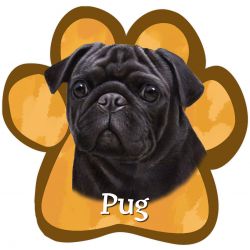 Paw Car Magnets
