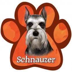 Paw Car Magnets