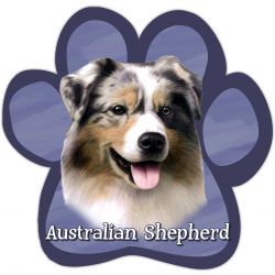Paw Car Magnets