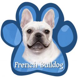 Paw Car Magnets