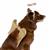 Dog Costumes for Halloween