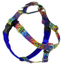 No Pull harness and matching raining leash