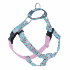 No Pull harness and matching raining leash