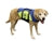 Life Jacket Paws Aboard