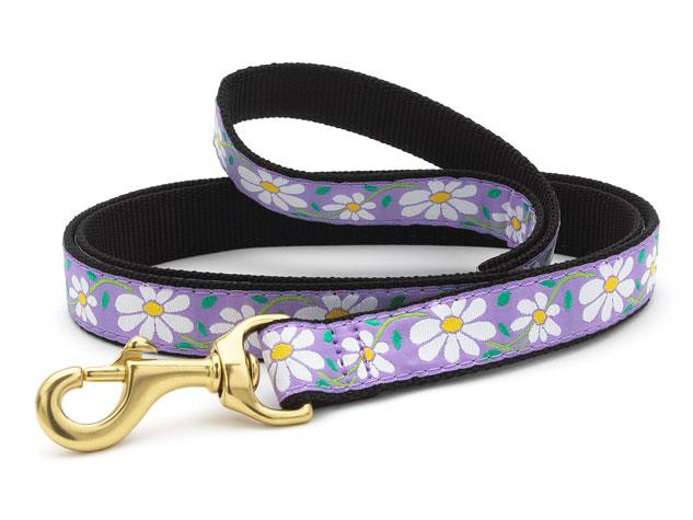 UC Leashes