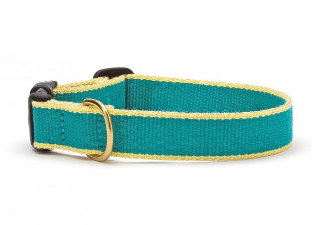 Personalized Collars