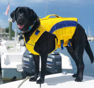 Life Jackets - Monterey Bay