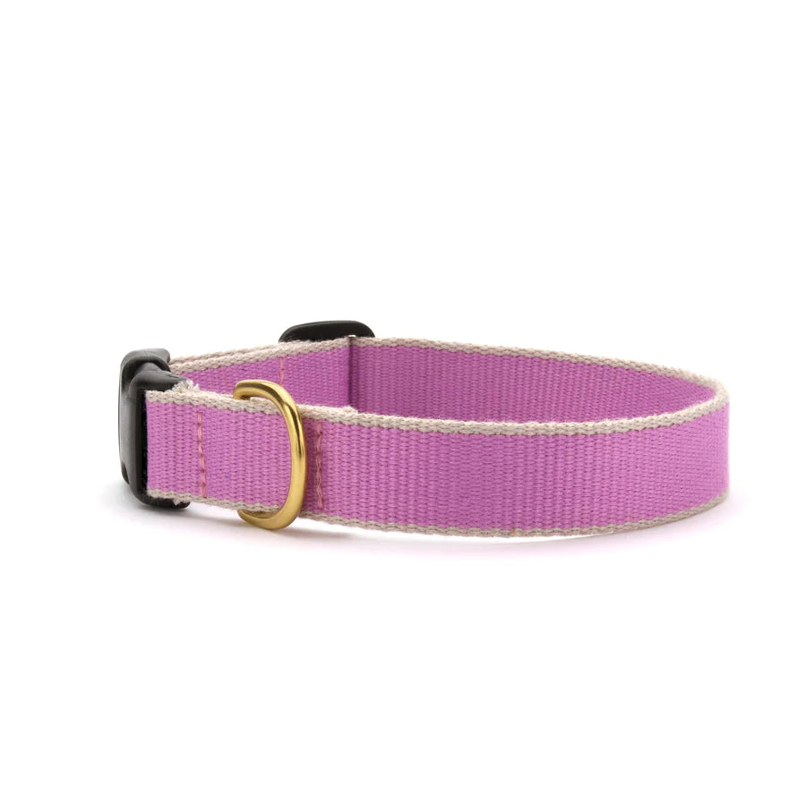 Personalized Collars