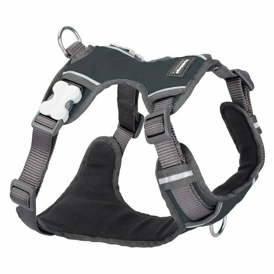 Red Dingo Padded Harness - Lake Dog and their people