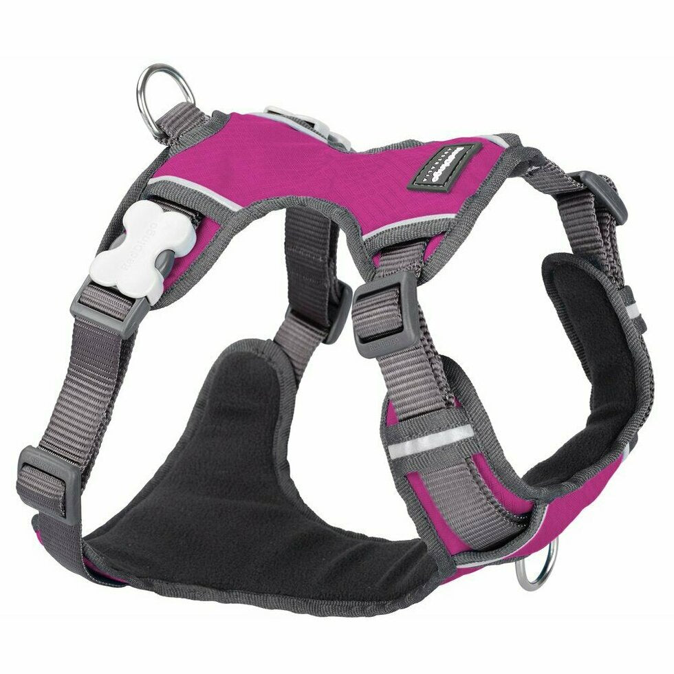 Red Dingo Padded Harness - Lake Dog and their people