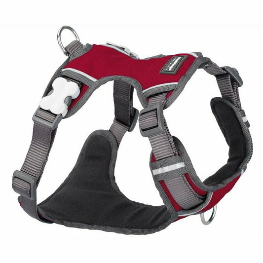 Red Dingo Padded Harness - Lake Dog and their people