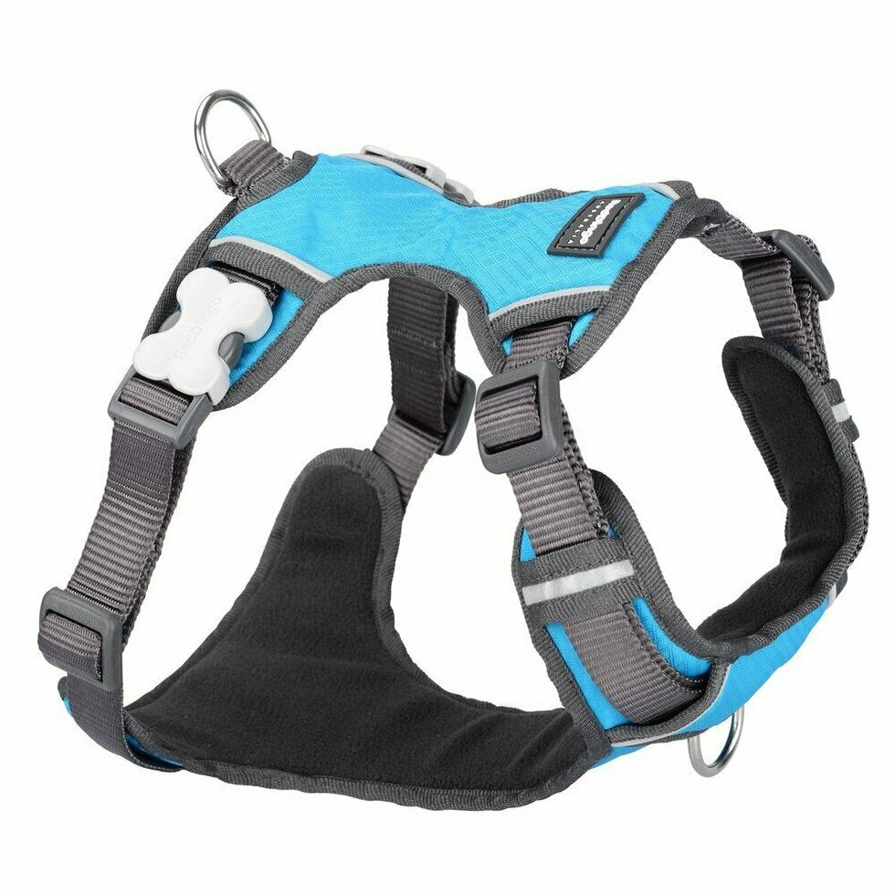 Red Dingo Padded Harness - Lake Dog and their people