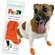 Pawz Waterproof dog boots - Lake Dog and their people