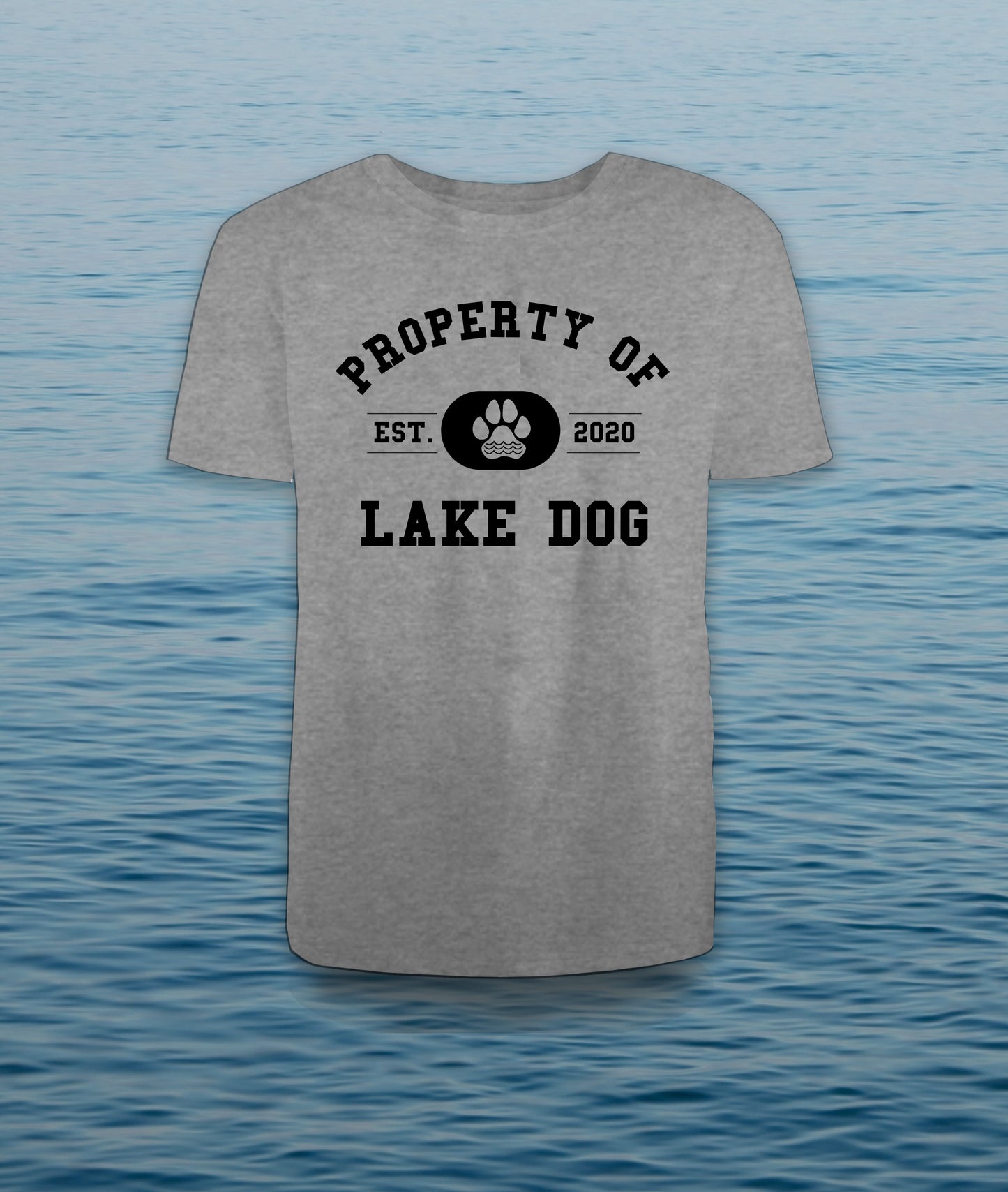 Property of Lake Dog