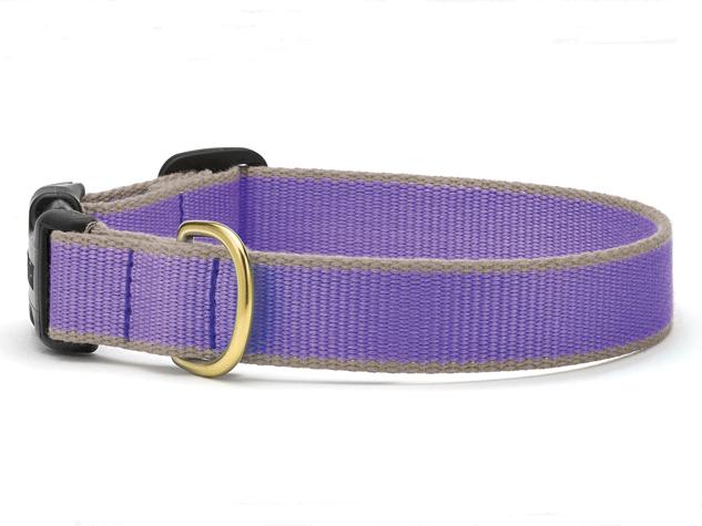 Personalized Collars
